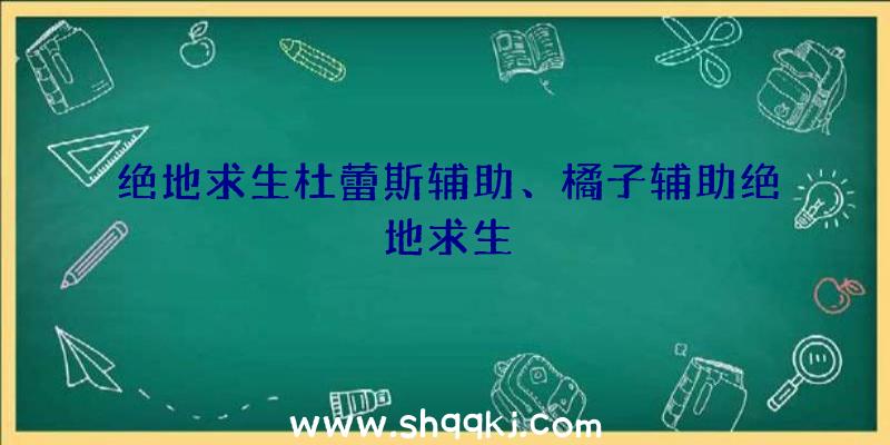 绝地求生杜蕾斯辅助、橘子辅助绝地求生