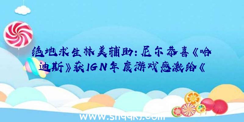 绝地求生林美辅助：尼尔恭喜《哈迪斯》获IGN年度游戏感激给《美末2》投票粉丝