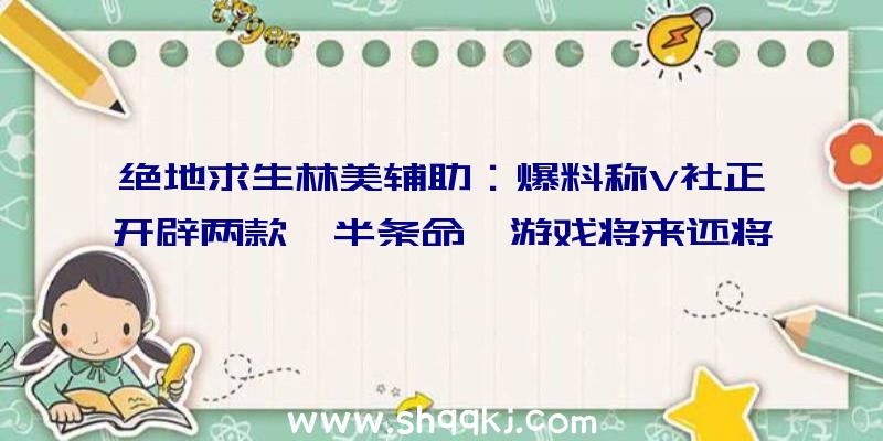 绝地求生林美辅助：爆料称V社正开辟两款《半条命》游戏将来还将有更多IP新作品