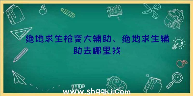 绝地求生枪变大辅助、绝地求生辅助去哪里找