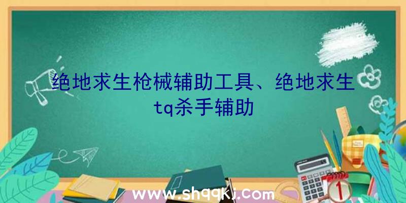 绝地求生枪械辅助工具、绝地求生tq杀手辅助