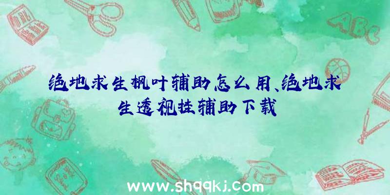 绝地求生枫叶辅助怎么用、绝地求生透视挂辅助下载