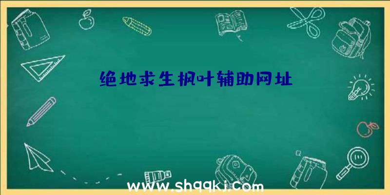 绝地求生枫叶辅助网址