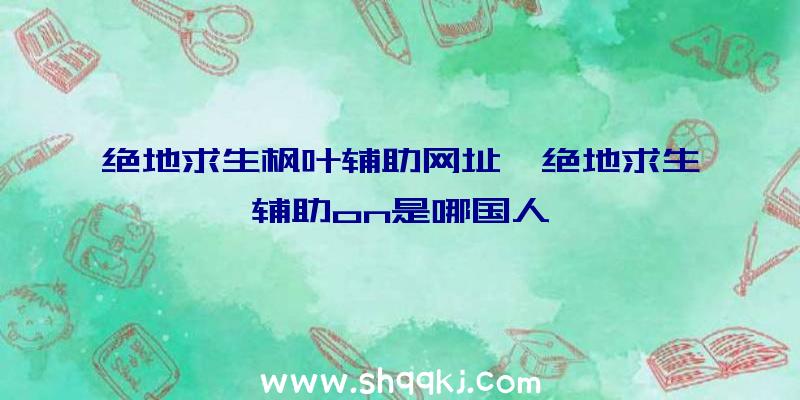 绝地求生枫叶辅助网址、绝地求生辅助on是哪国人