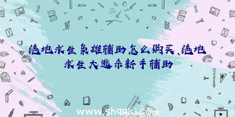 绝地求生枭雄辅助怎么购买、绝地求生大逃杀新手辅助