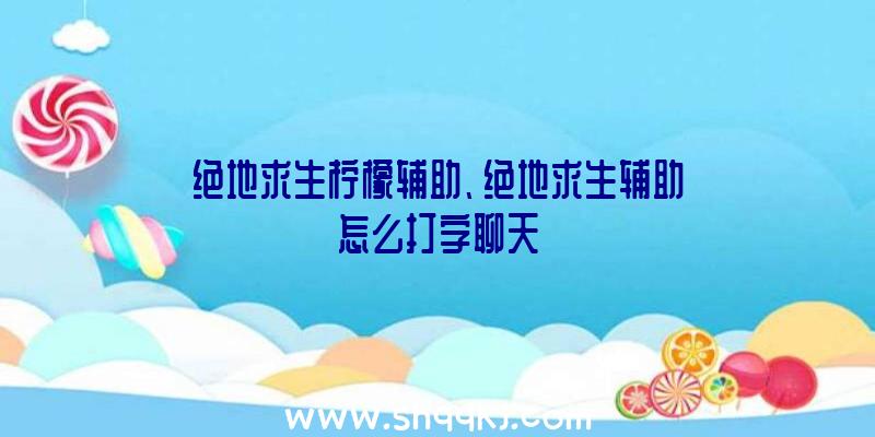 绝地求生柠檬辅助、绝地求生辅助怎么打字聊天