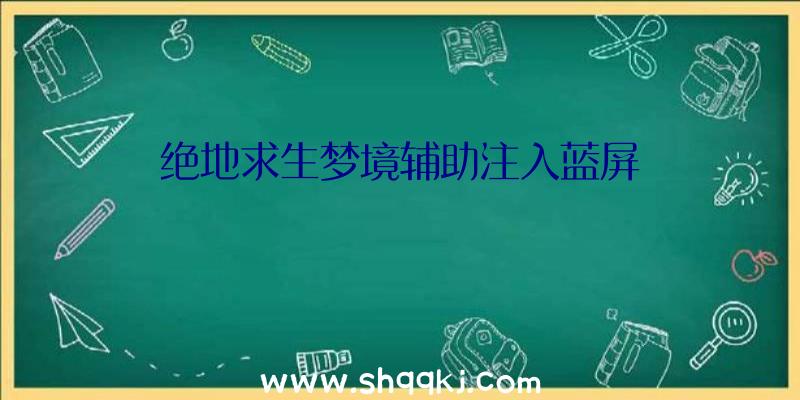 绝地求生梦境辅助注入蓝屏