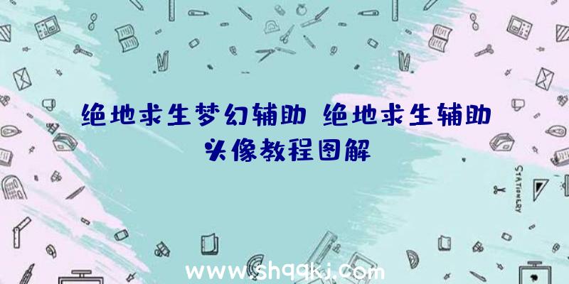 绝地求生梦幻辅助、绝地求生辅助头像教程图解