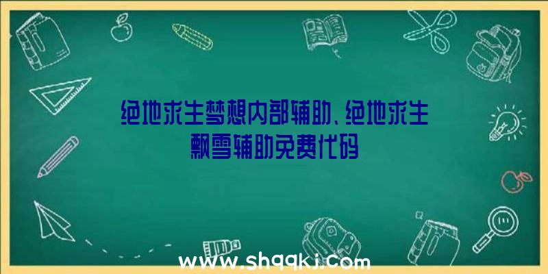 绝地求生梦想内部辅助、绝地求生飘雪辅助免费代码