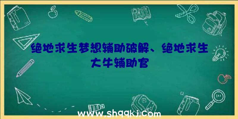 绝地求生梦想辅助破解、绝地求生大牛辅助官