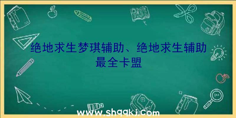 绝地求生梦琪辅助、绝地求生辅助最全卡盟