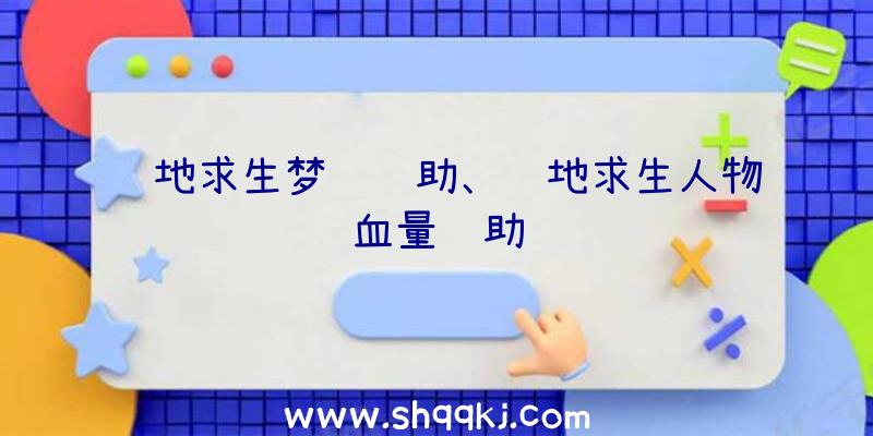 绝地求生梦魇辅助、绝地求生人物血量辅助