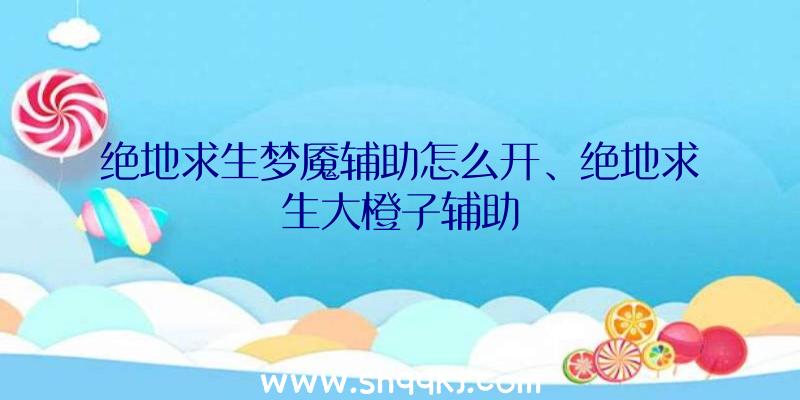 绝地求生梦魇辅助怎么开、绝地求生大橙子辅助