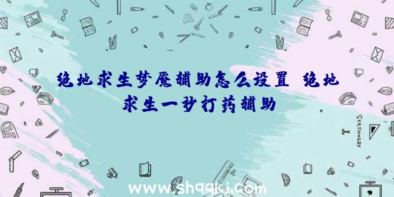 绝地求生梦魇辅助怎么设置、绝地求生一秒打药辅助