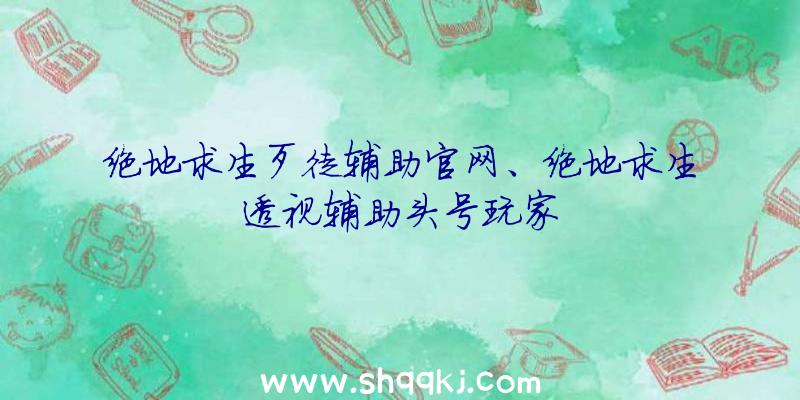 绝地求生歹徒辅助官网、绝地求生透视辅助头号玩家