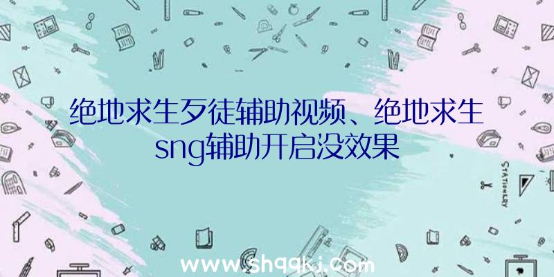 绝地求生歹徒辅助视频、绝地求生sng辅助开启没效果