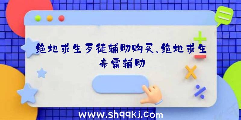 绝地求生歹徒辅助购买、绝地求生帝霸辅助