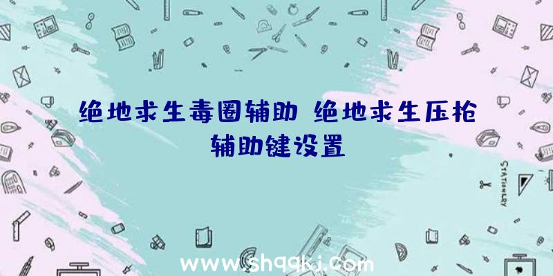 绝地求生毒圈辅助、绝地求生压枪辅助键设置