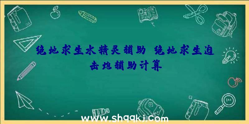 绝地求生水精灵辅助、绝地求生迫击炮辅助计算