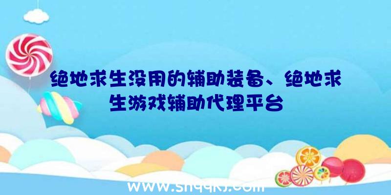 绝地求生没用的辅助装备、绝地求生游戏辅助代理平台