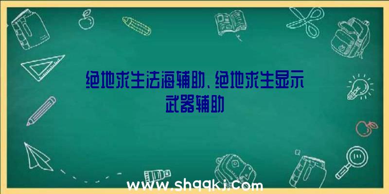 绝地求生法海辅助、绝地求生显示武器辅助