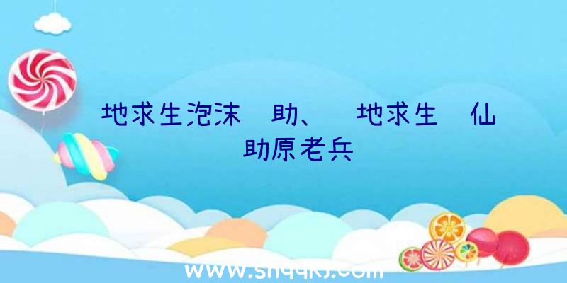 绝地求生泡沫辅助、绝地求生诛仙辅助原老兵