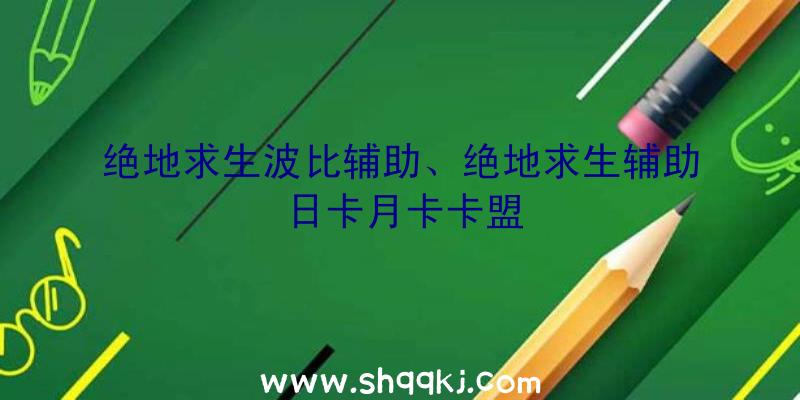 绝地求生波比辅助、绝地求生辅助日卡月卡卡盟