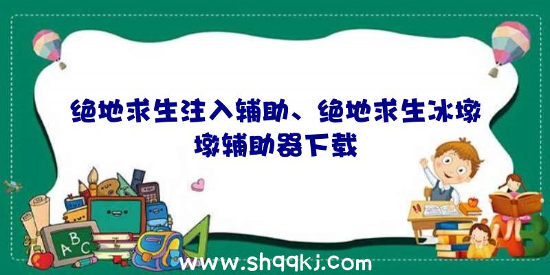 绝地求生注入辅助、绝地求生冰墩墩辅助器下载