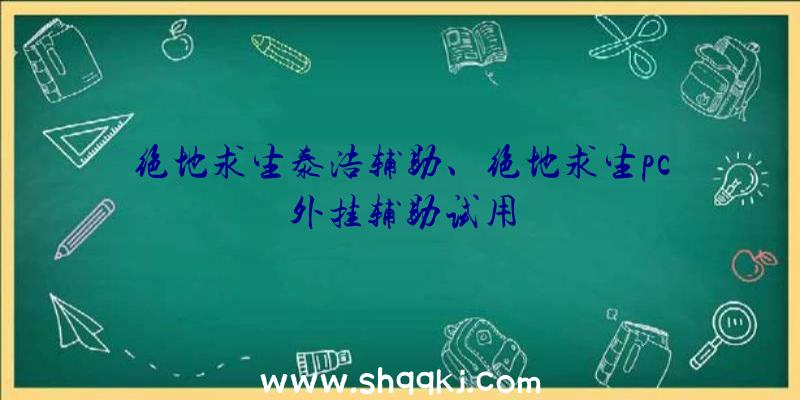 绝地求生泰浩辅助、绝地求生pc外挂辅助试用