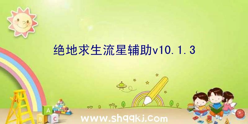 绝地求生流星辅助v10.1.3