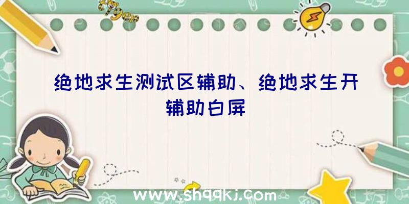 绝地求生测试区辅助、绝地求生开辅助白屏