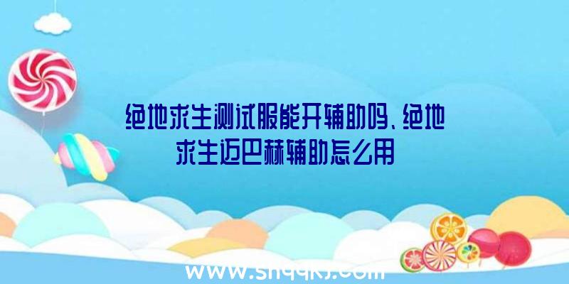 绝地求生测试服能开辅助吗、绝地求生迈巴赫辅助怎么用