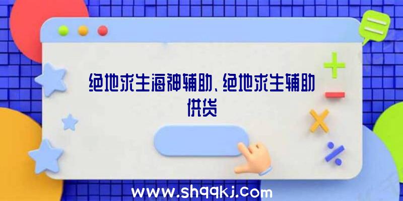 绝地求生海神辅助、绝地求生辅助供货