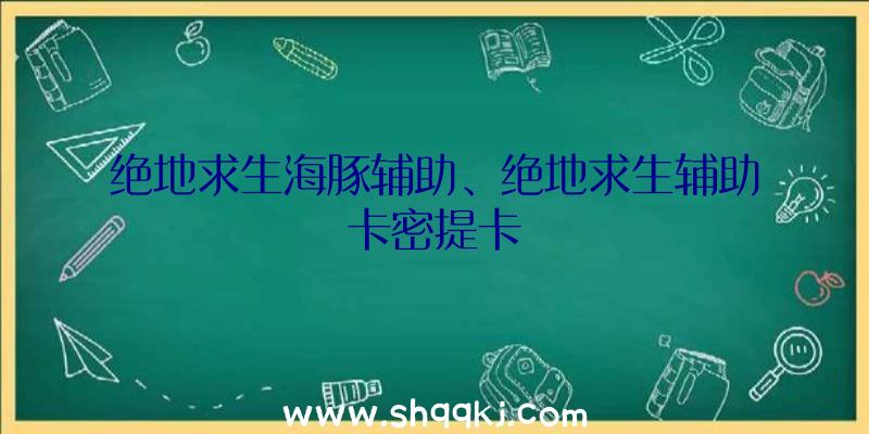 绝地求生海豚辅助、绝地求生辅助卡密提卡