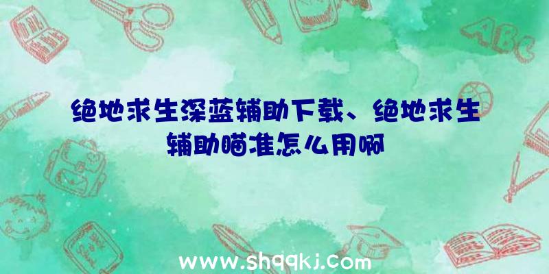 绝地求生深蓝辅助下载、绝地求生辅助瞄准怎么用啊