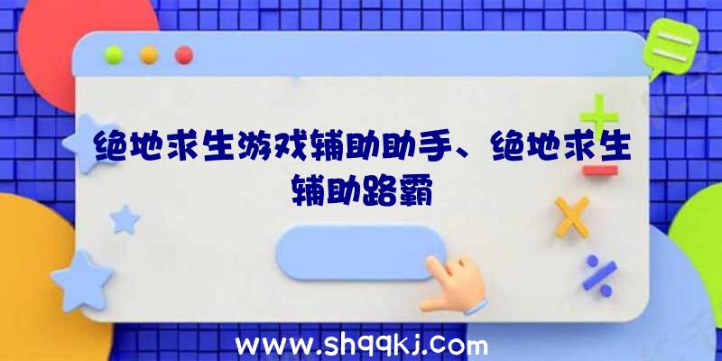 绝地求生游戏辅助助手、绝地求生辅助路霸