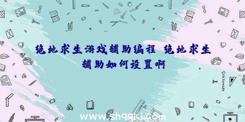 绝地求生游戏辅助编程、绝地求生辅助如何设置啊