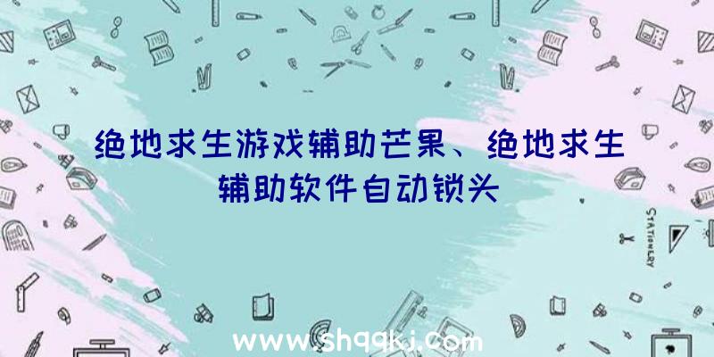 绝地求生游戏辅助芒果、绝地求生辅助软件自动锁头