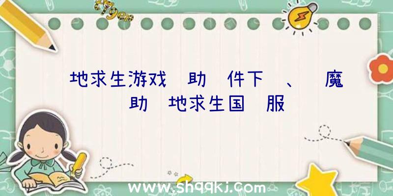 绝地求生游戏辅助软件下载、阎魔辅助绝地求生国际服