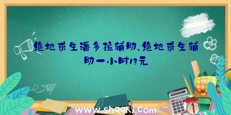 绝地求生潘多拉辅助、绝地求生辅助一小时13元