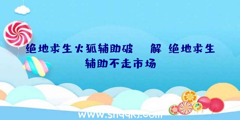 绝地求生火狐辅助破解、绝地求生辅助不走市场