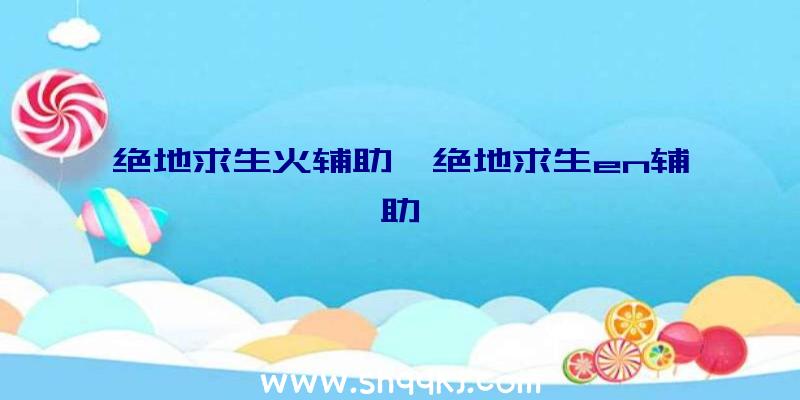 绝地求生火辅助、绝地求生en辅助