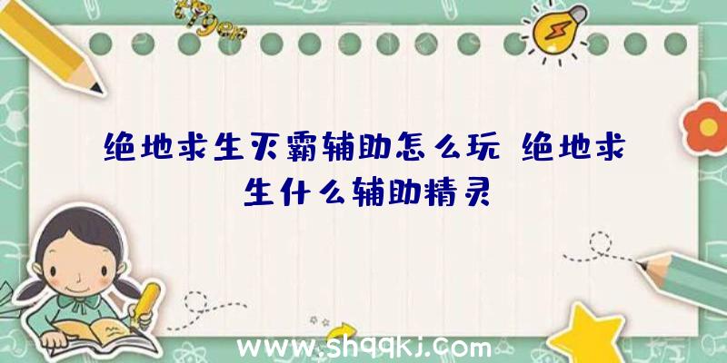 绝地求生灭霸辅助怎么玩、绝地求生什么辅助精灵