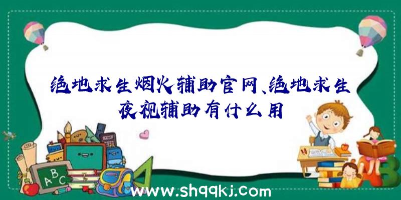 绝地求生烟火辅助官网、绝地求生夜视辅助有什么用