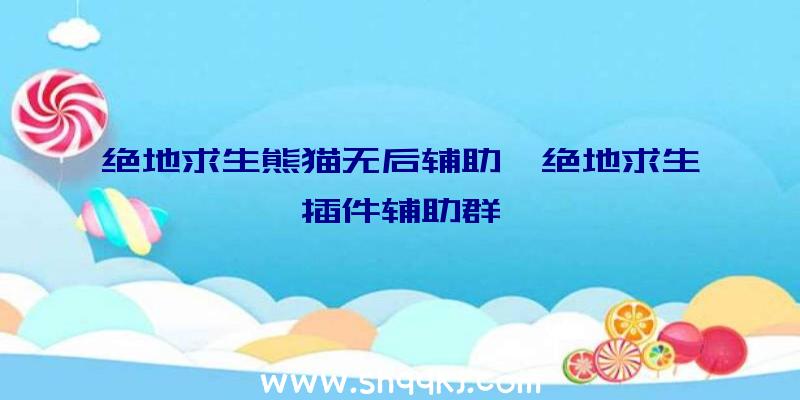 绝地求生熊猫无后辅助、绝地求生插件辅助群