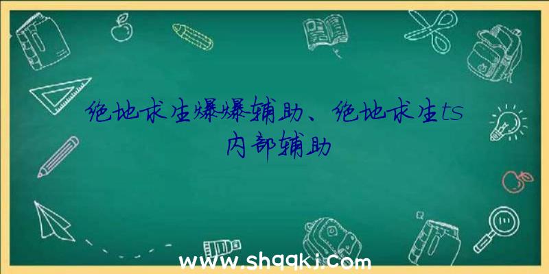 绝地求生爆爆辅助、绝地求生ts内部辅助