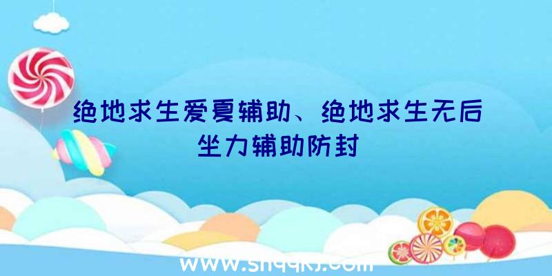 绝地求生爱夏辅助、绝地求生无后坐力辅助防封