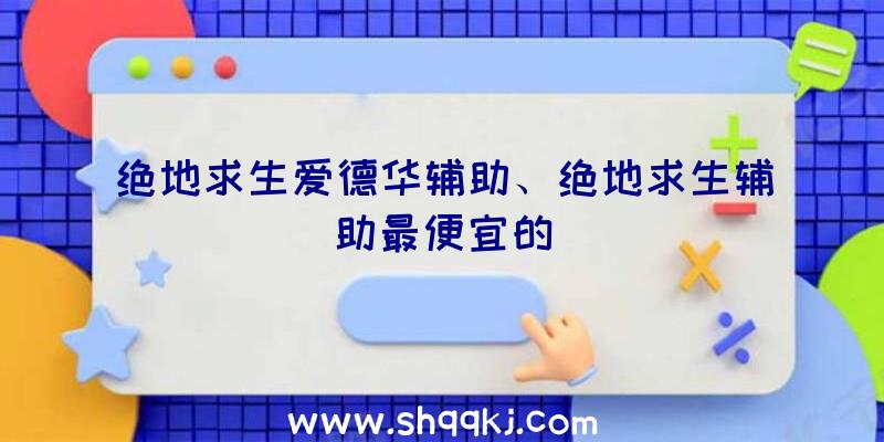 绝地求生爱德华辅助、绝地求生辅助最便宜的