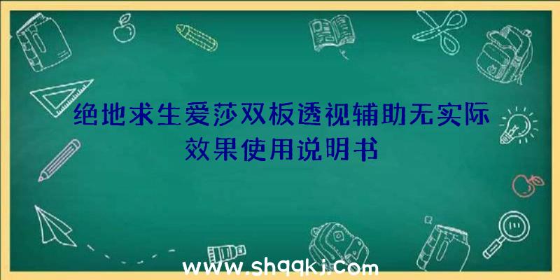 绝地求生爱莎双板透视辅助无实际效果使用说明书