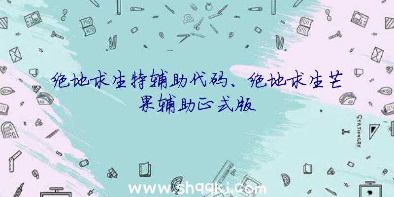 绝地求生特辅助代码、绝地求生芒果辅助正式版